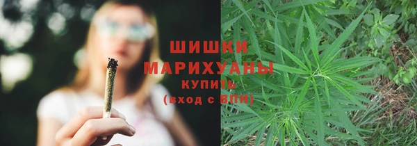 ALPHA PVP Богородицк