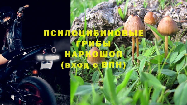 марки nbome Богданович
