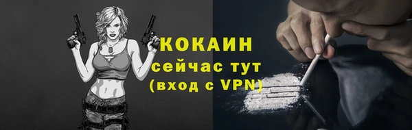 ALPHA PVP Богородицк
