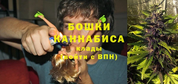 ALPHA PVP Богородицк